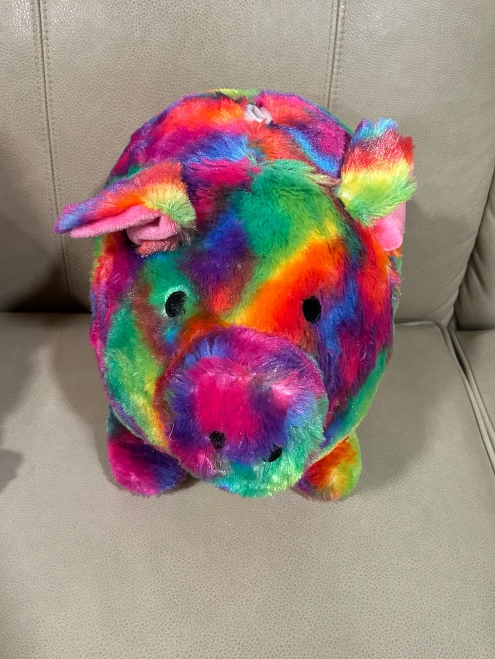 Plush Rainbow Pig Stuffed Toy Piggy Bank - Multicolor Kids Plush